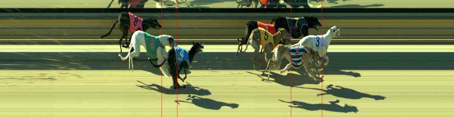 Photo finish for Sale Race 12