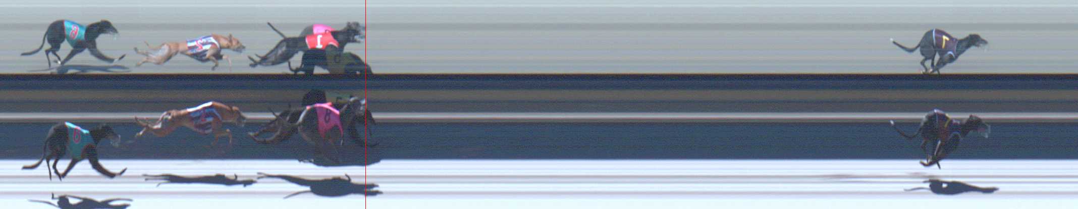 Photo finish for Sale Race 5
