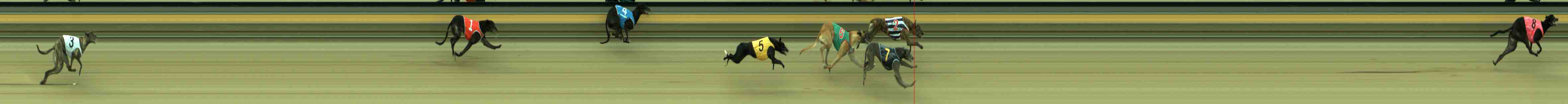 Photo finish for Sale Race 1