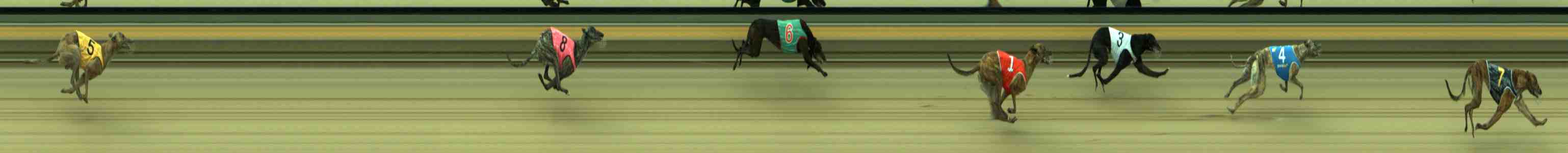 Photo finish for Sale Race 2