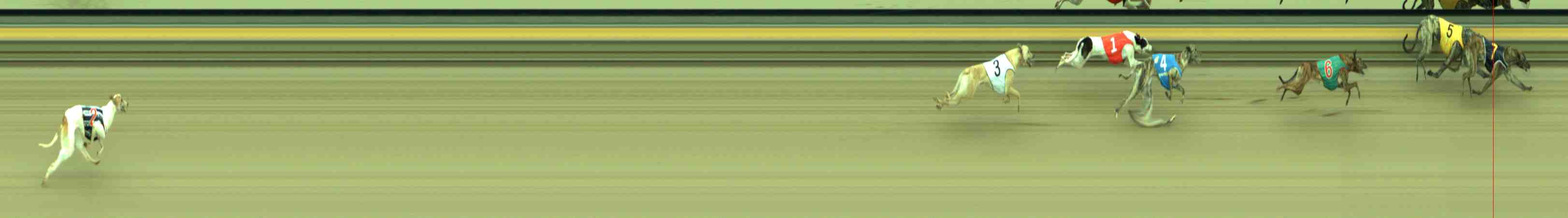 Photo finish for Sale Race 3