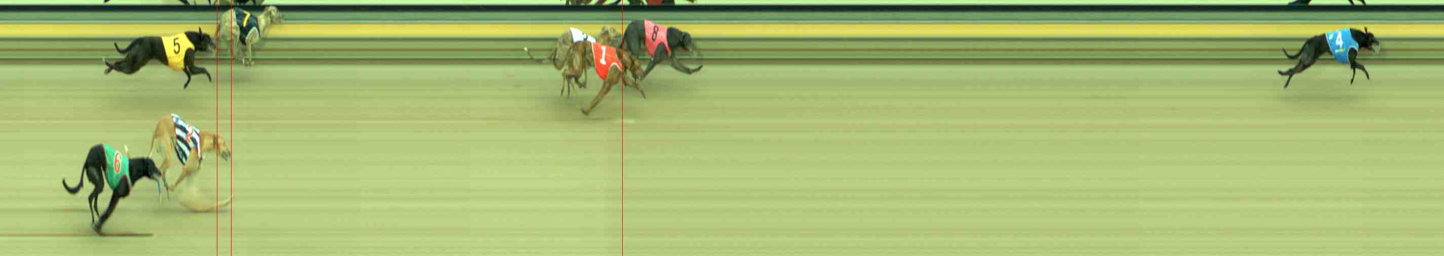 Photo finish for Sale Race 4