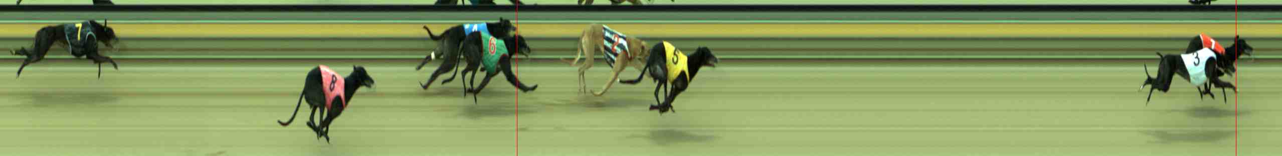 Photo finish for Sale Race 5
