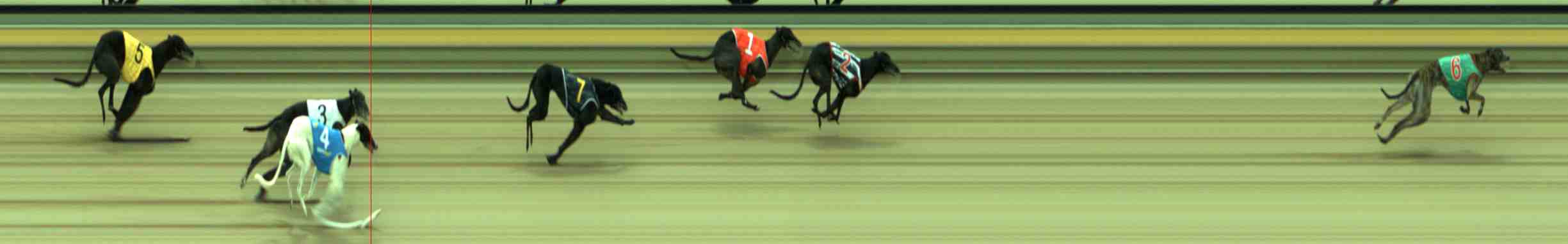 Photo finish for Sale Race 6