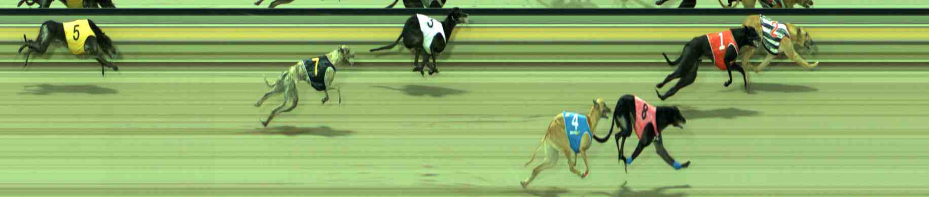 Photo finish for Sale Race 7