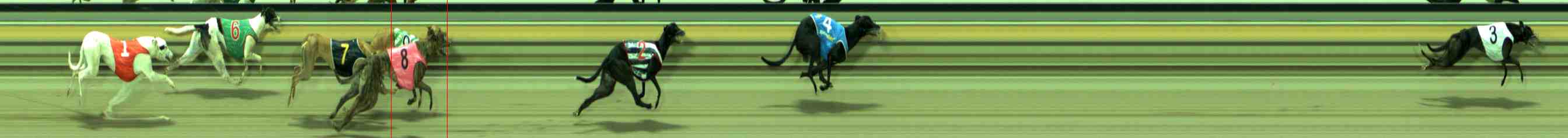 Photo finish for Sale Race 8