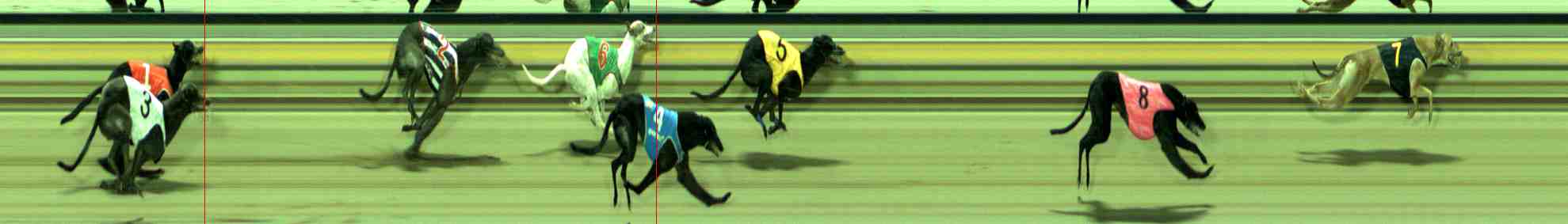 Photo finish for Sale Race 9
