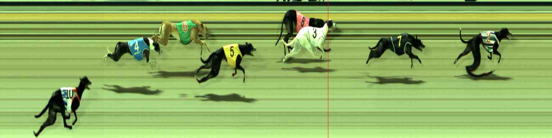 Photo finish for Sale Race 11