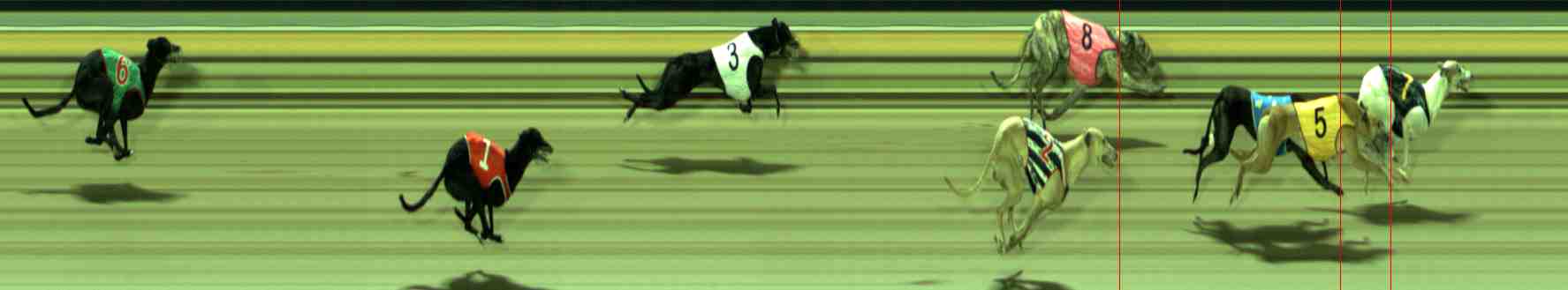 Photo finish for Sale Race 12