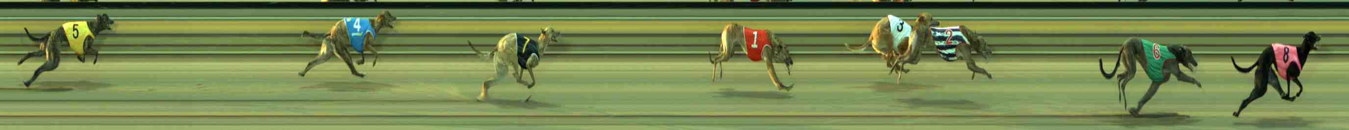 Photo finish for Sale Race 1