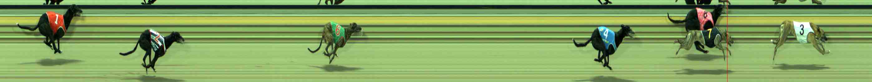 Photo finish for Sale Race 2