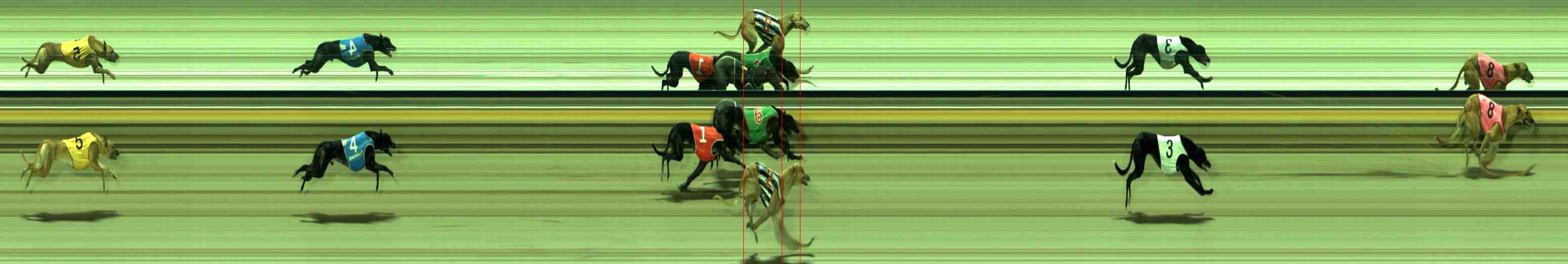 Photo finish for Sale Race 5