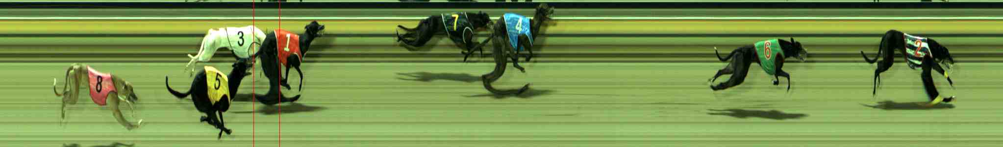 Photo finish for Sale Race 6