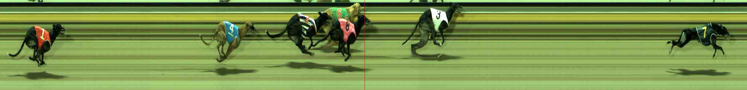 Photo finish for Sale Race 8