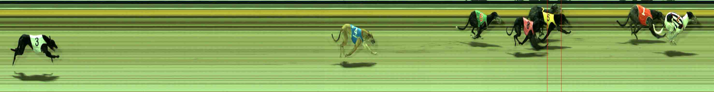 Photo finish for Sale Race 9