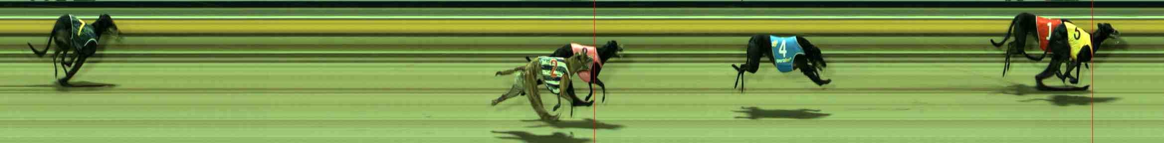 Photo finish for Sale Race 10