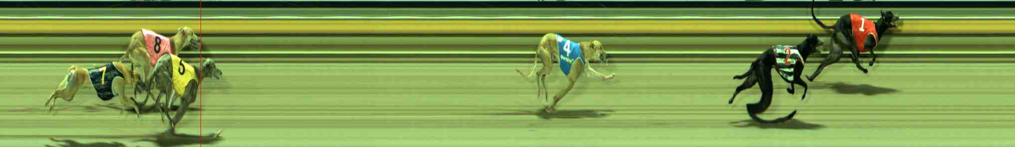 Photo finish for Sale Race 11