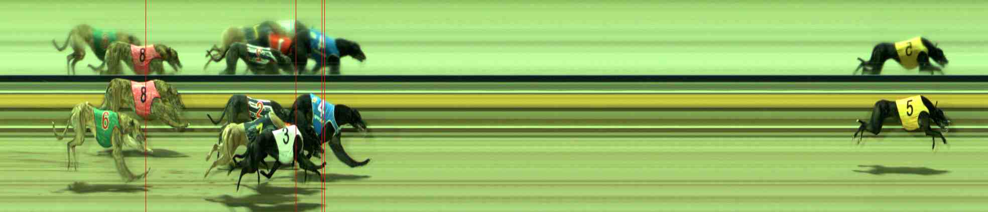 Photo finish for Sale Race 12