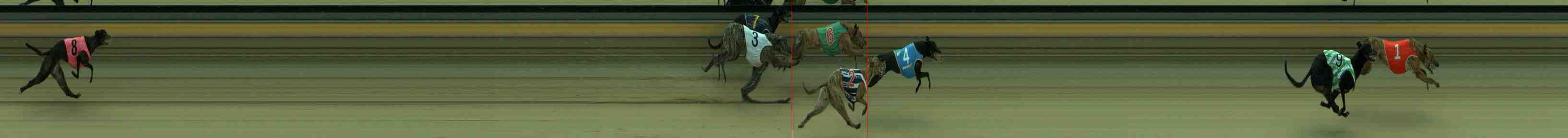 Photo finish for Sale Race 1