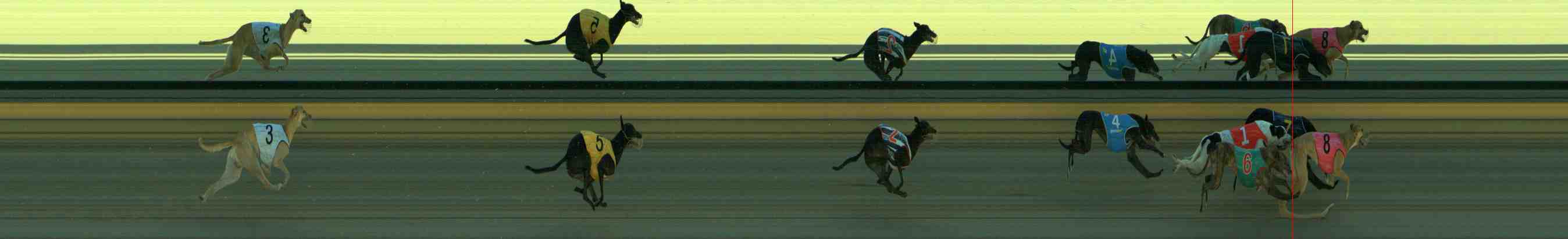 Photo finish for Sale Race 2