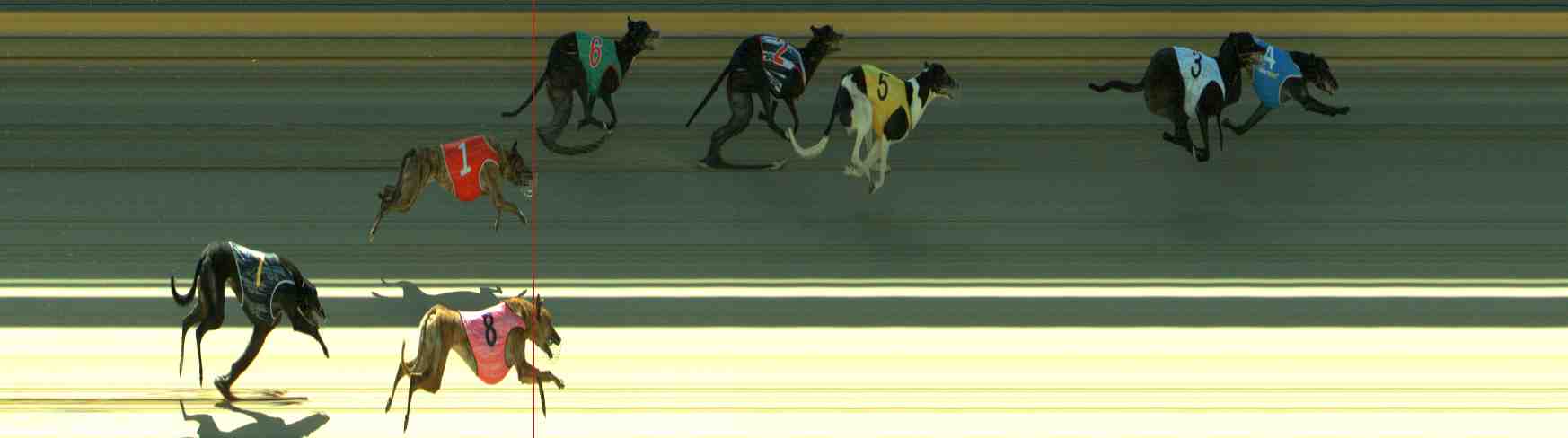 Photo finish for Sale Race 3
