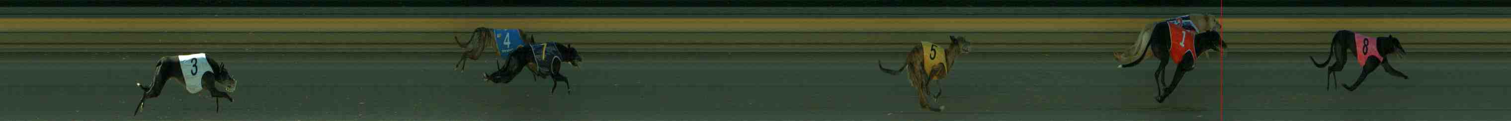Photo finish for Sale Race 5