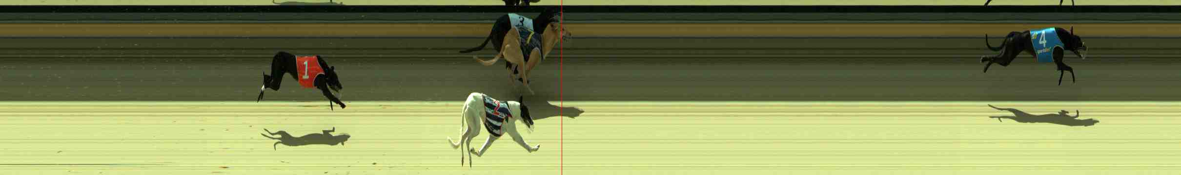 Photo finish for Sale Race 6