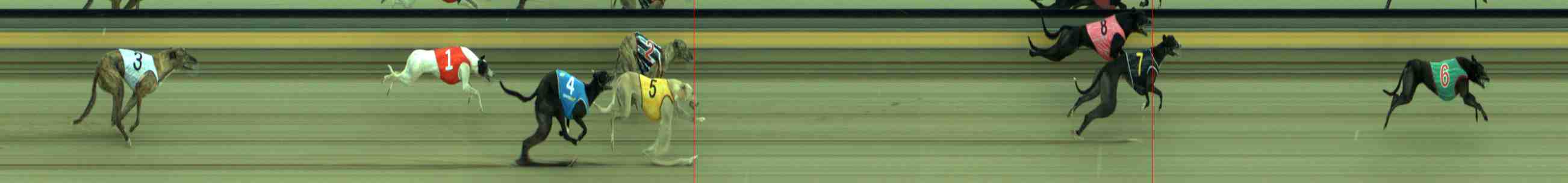 Photo finish for Sale Race 7