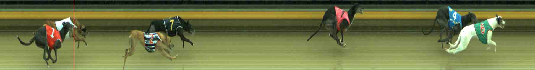 Photo finish for Sale Race 8