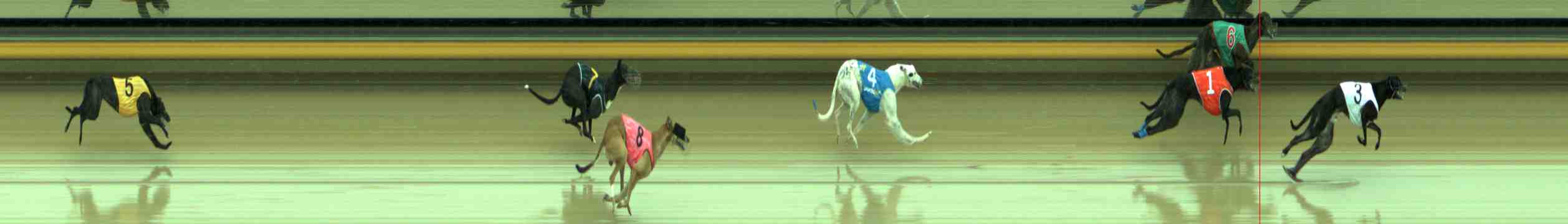 Photo finish for Sale Race 9