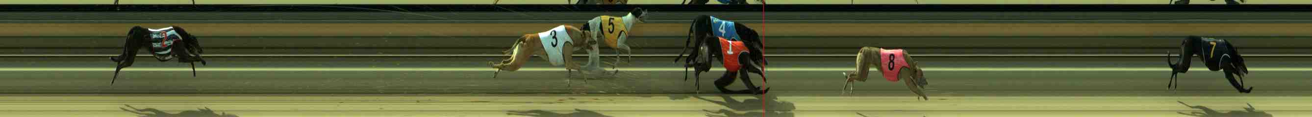 Photo finish for Sale Race 11