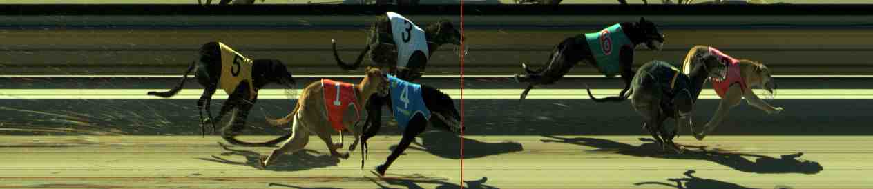 Photo finish for Sale Race 12