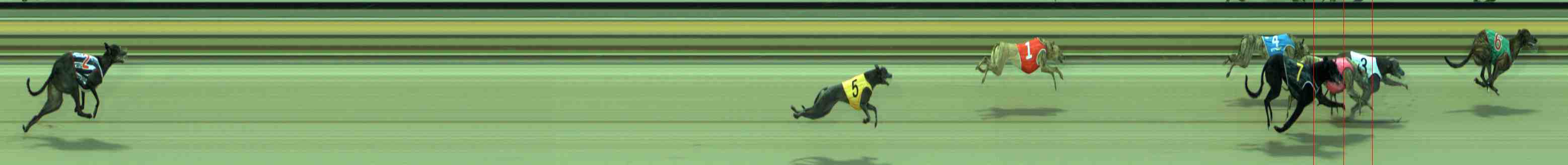 Photo finish for Sale Race 1