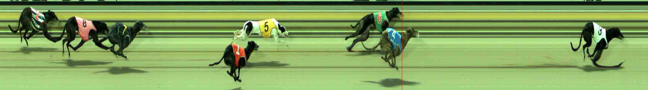 Photo finish for Sale Race 2