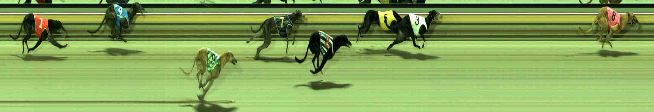 Photo finish for Sale Race 4
