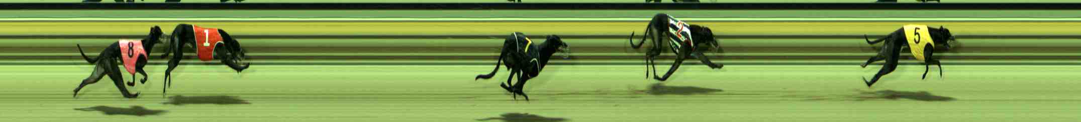 Photo finish for Sale Race 6