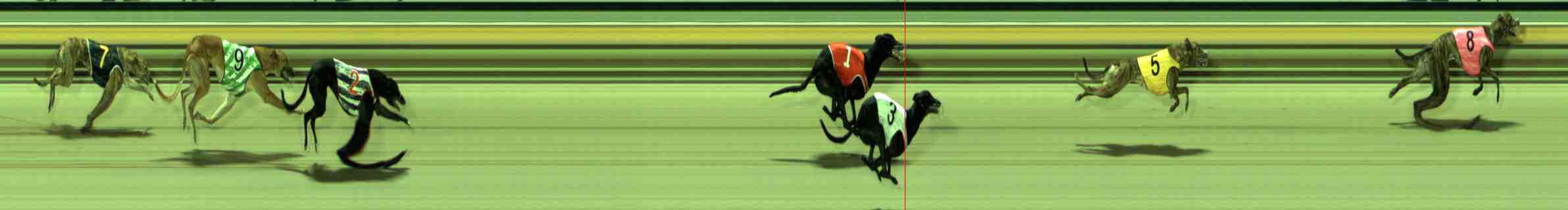 Photo finish for Sale Race 7