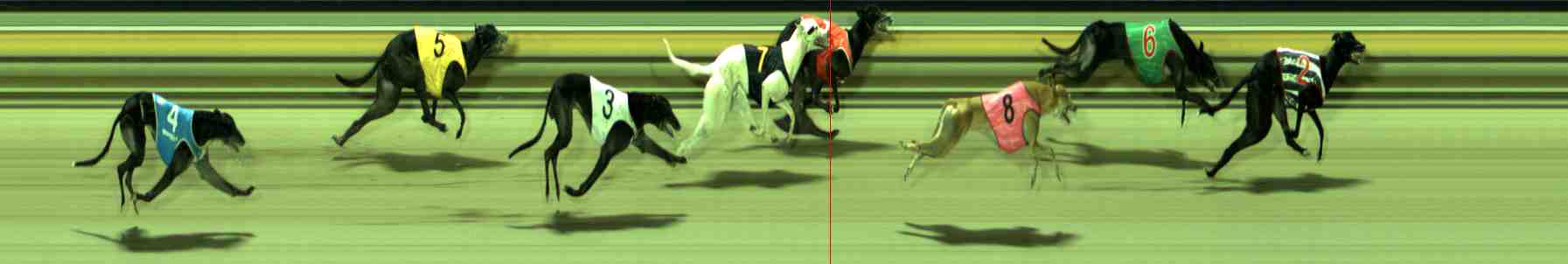 Photo finish for Sale Race 8