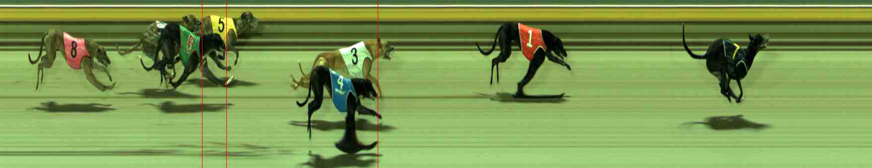 Photo finish for Sale Race 9