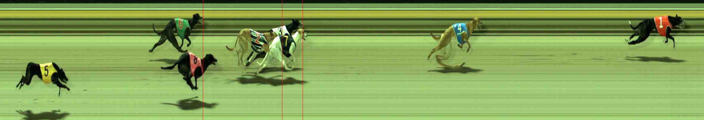 Photo finish for Sale Race 10