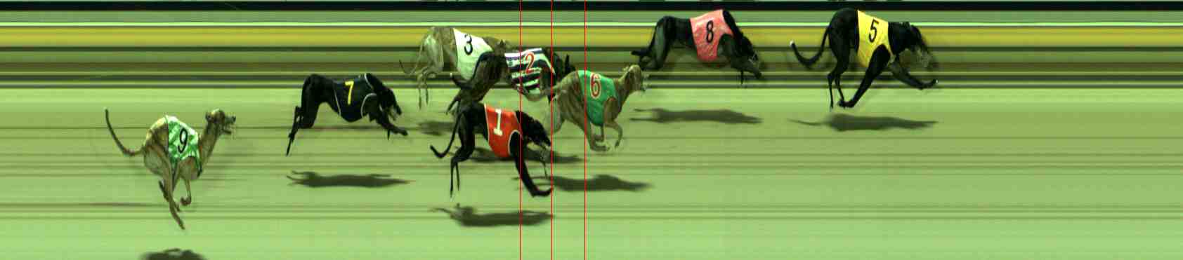 Photo finish for Sale Race 11
