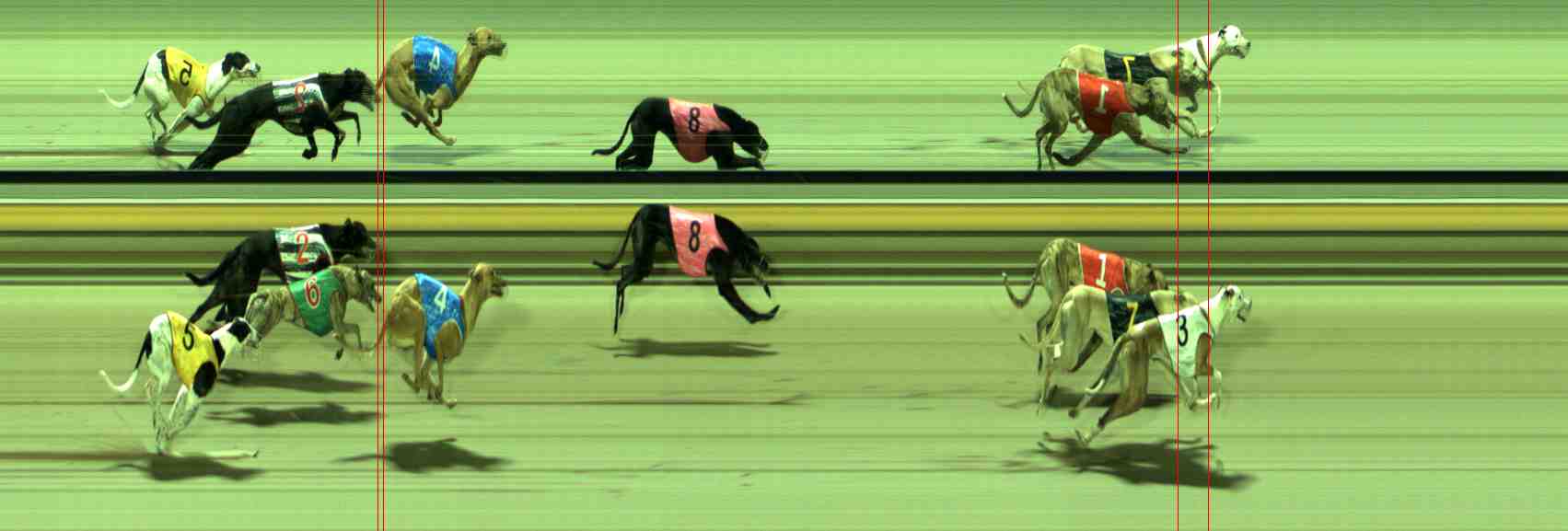 Photo finish for Sale Race 12
