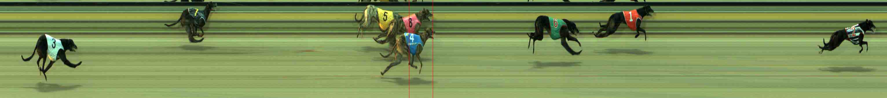 Photo finish for Sale Race 2