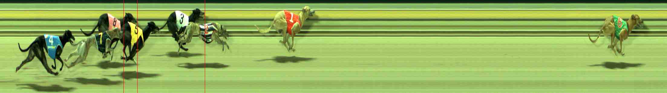 Photo finish for Sale Race 4
