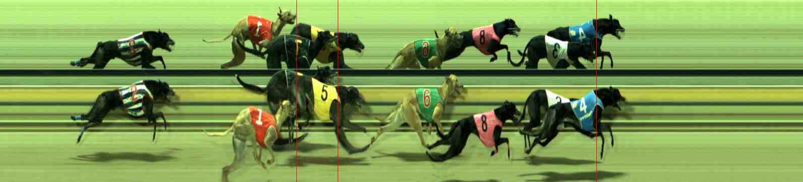 Photo finish for Sale Race 5