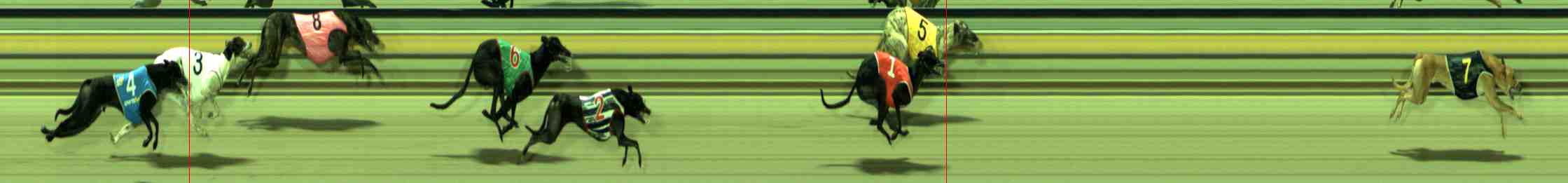 Photo finish for Sale Race 6