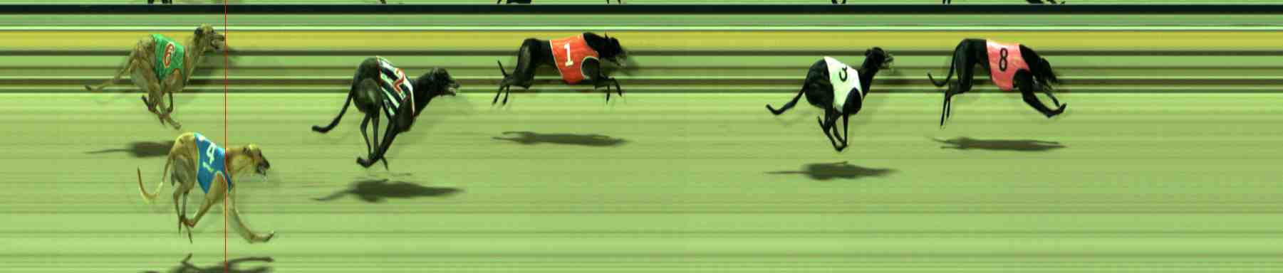Photo finish for Sale Race 7