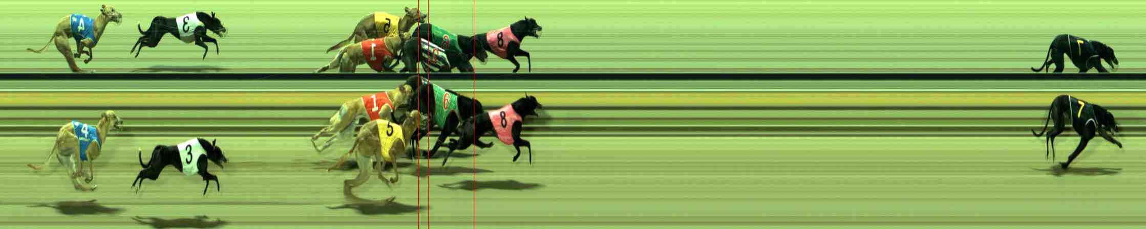 Photo finish for Sale Race 8