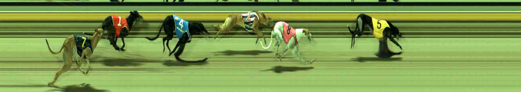 Photo finish for Sale Race 9