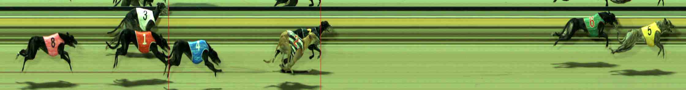 Photo finish for Sale Race 10